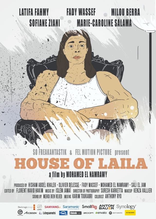 House of Laila poster